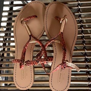Coach Sandals